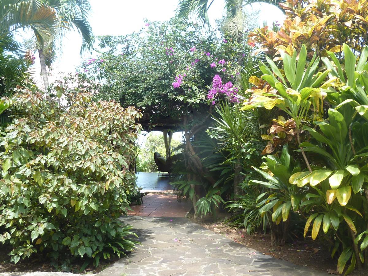 Chambre D'Hotes "Villa Rayon Vert" Deshaies Exterior foto